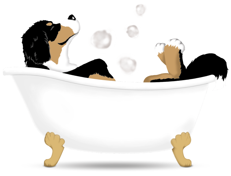 Hund in Badewanne Hund in Badewanne